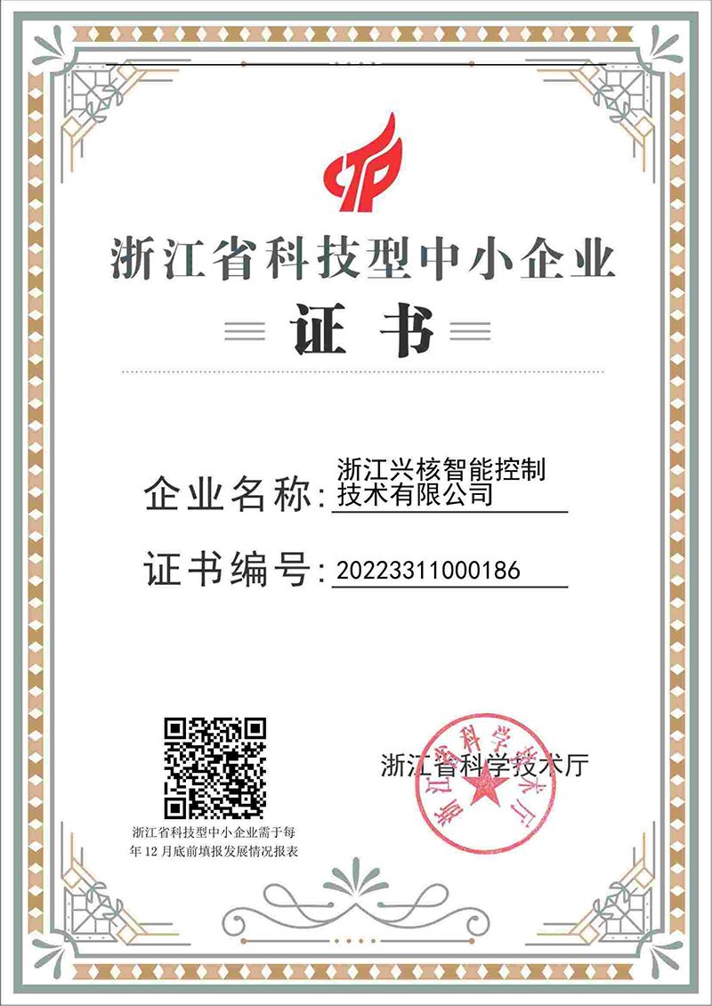 兴核科技型中小证书